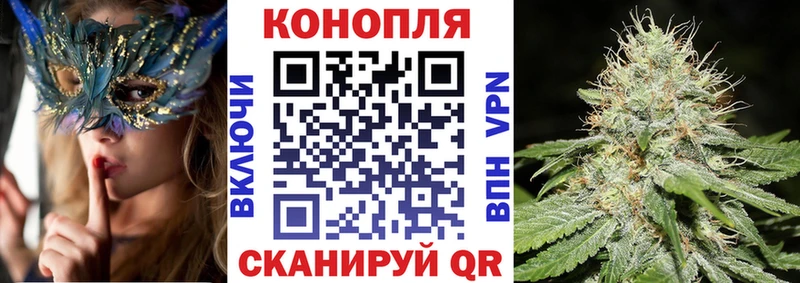 как найти наркотики  Сольвычегодск  Шишки марихуана VHQ 